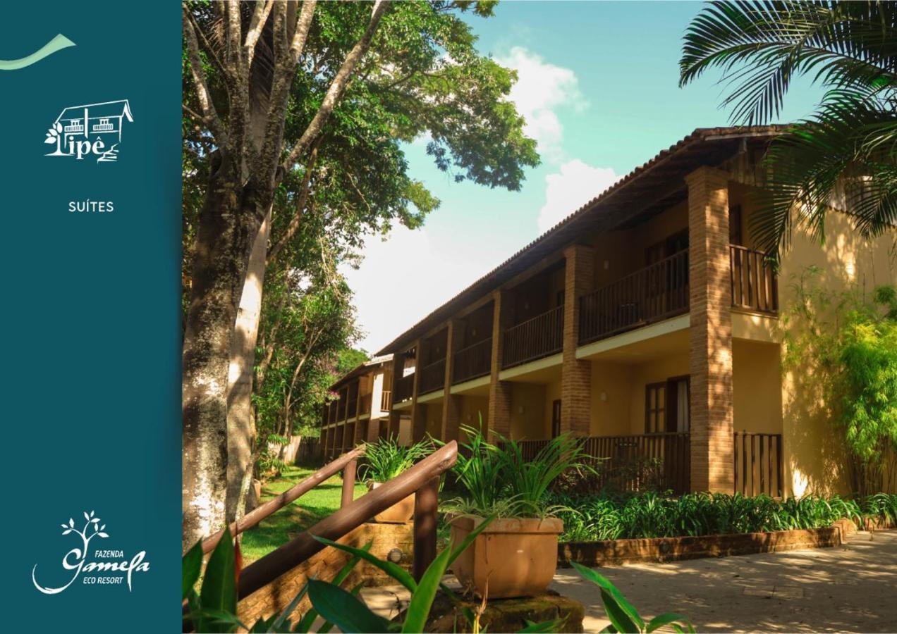 Fazenda Gamela Eco Resort Cantagalo  ภายนอก รูปภาพ